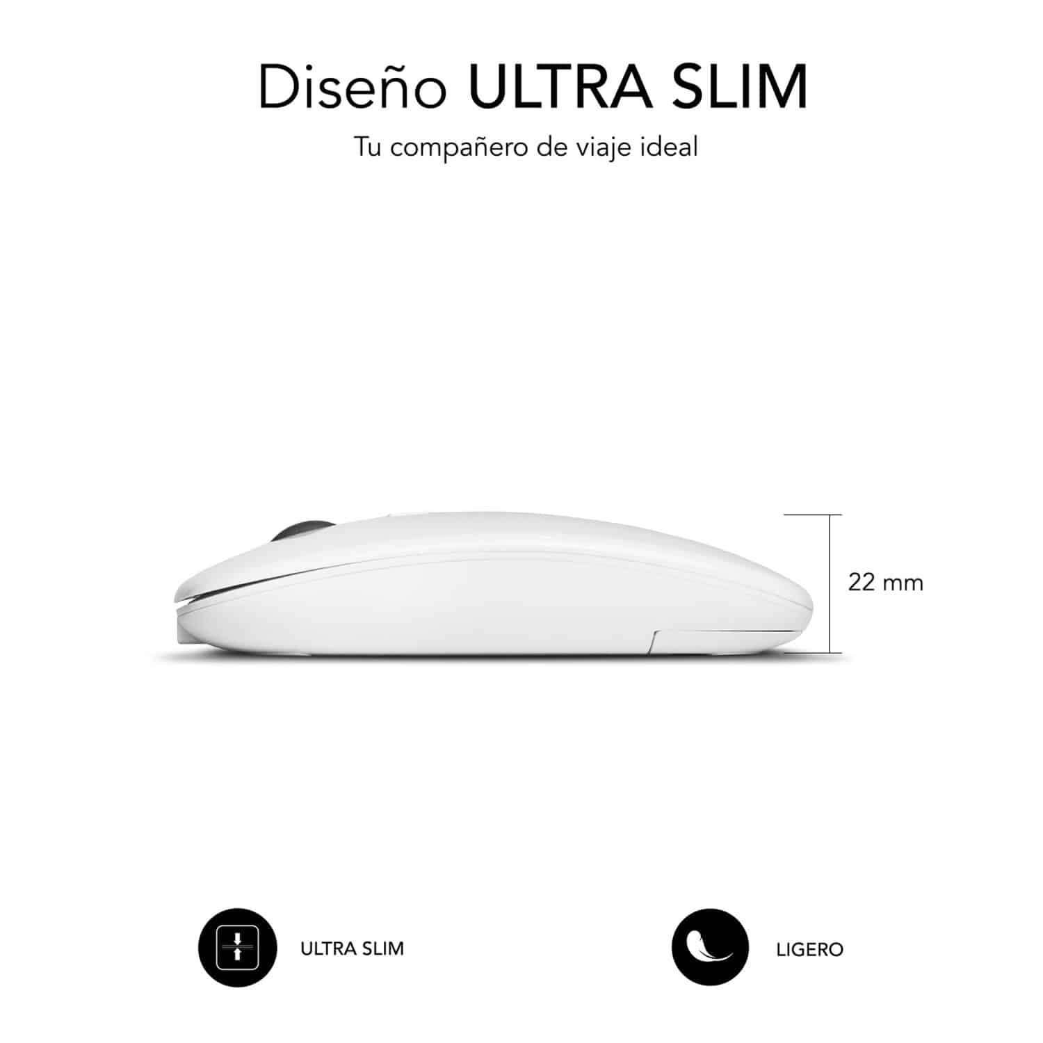 DUAL_FLAT_RECHARGEABLE